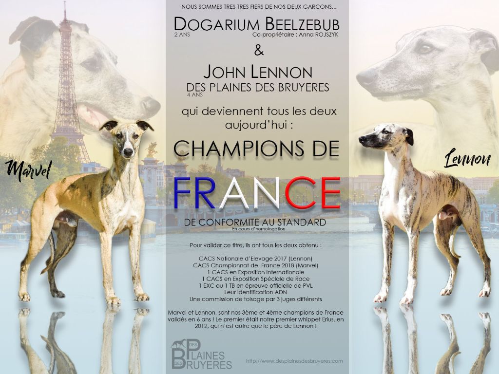 des plaines des Bruyères - Champions de France !!!! 