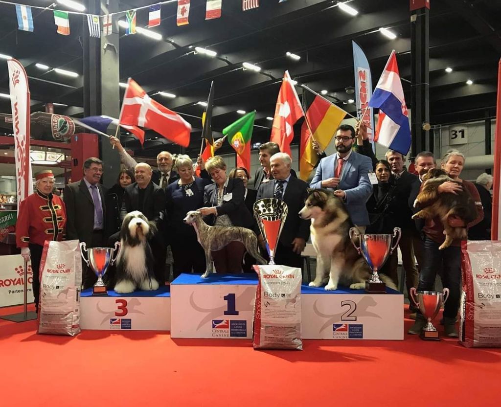 des plaines des Bruyères - La plus haute marche pour Rua à Bordeaux ! 