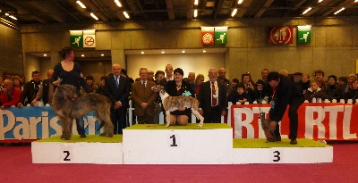 des plaines des Bruyères - Concours Général Agricole 2013 - Paris