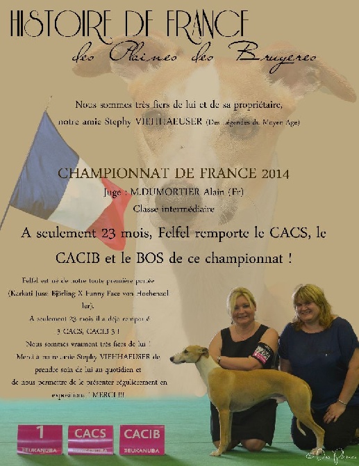 des plaines des Bruyères - CHAMPIONNAT DE FRANCE 2014