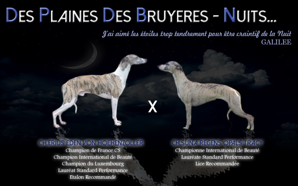 des plaines des Bruyères - Très bientôt...