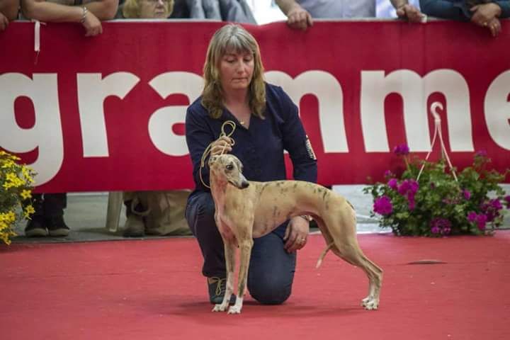 Julia roberts des plaines des Bruyères