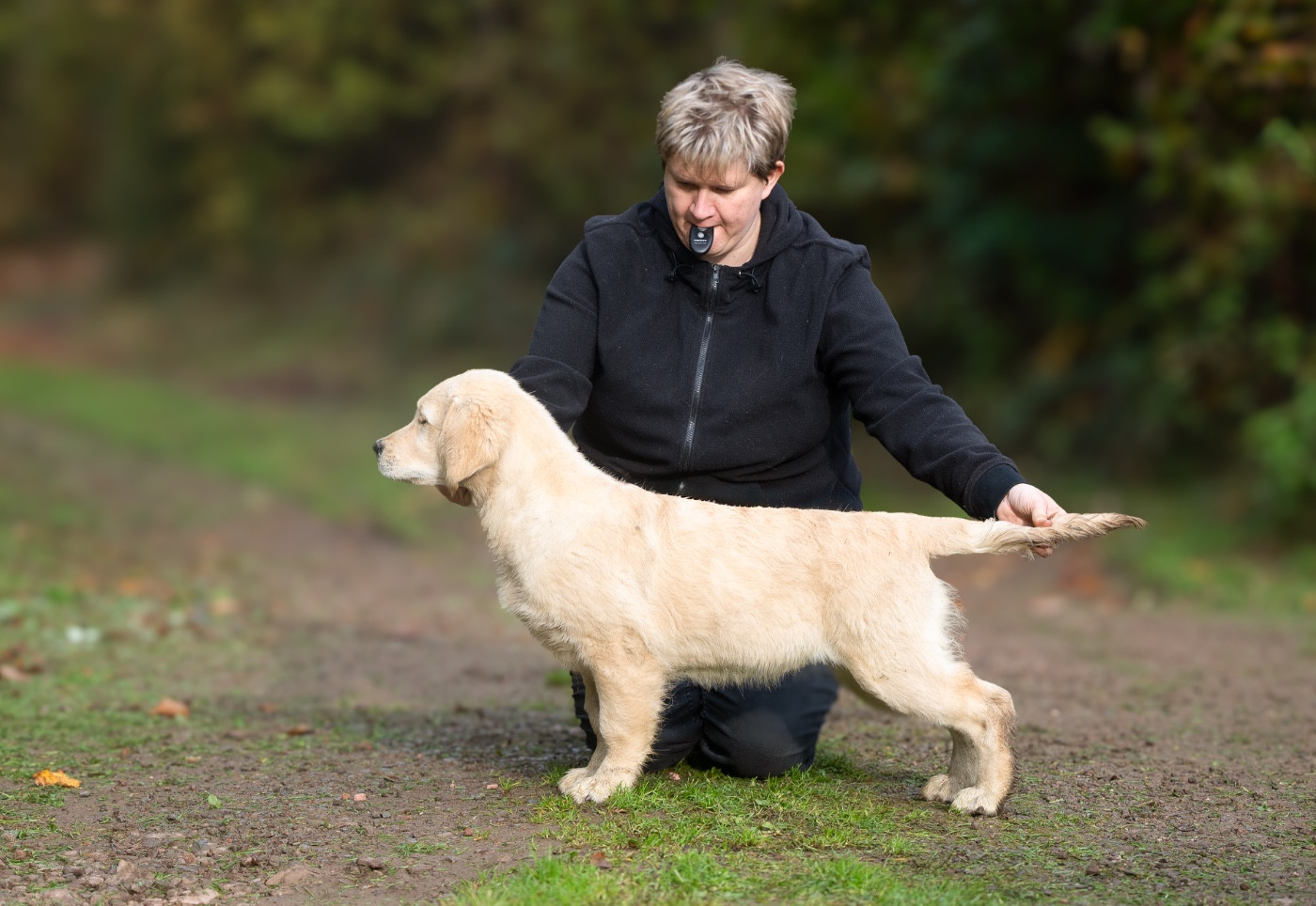 A first edition des plaines des Bruyères