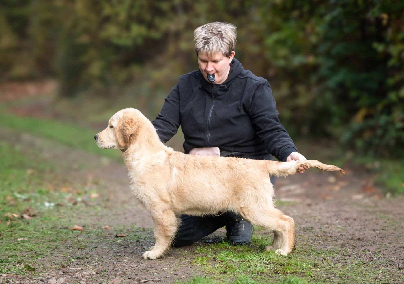 A first reign des plaines des Bruyères