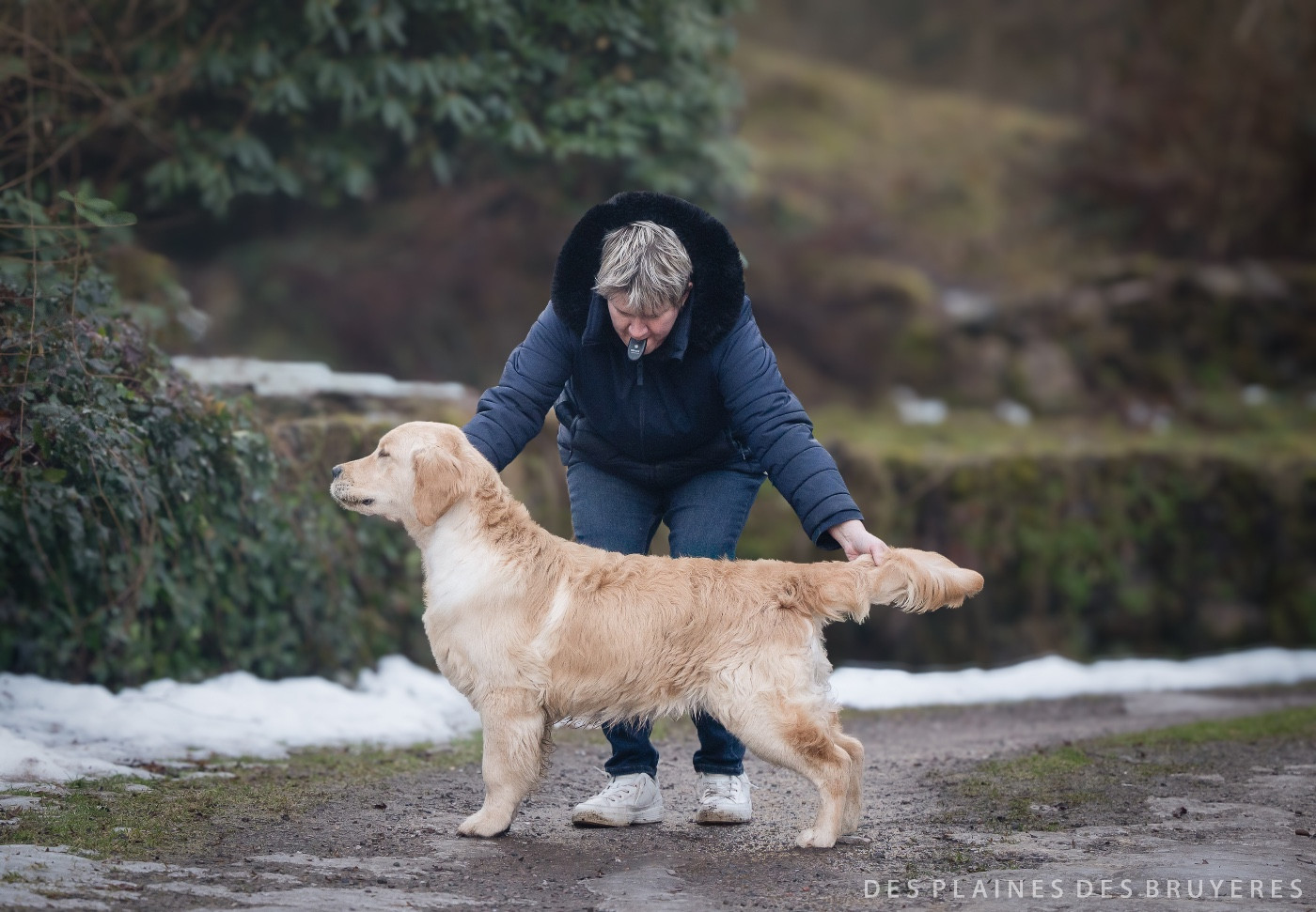 A first reign des plaines des Bruyères