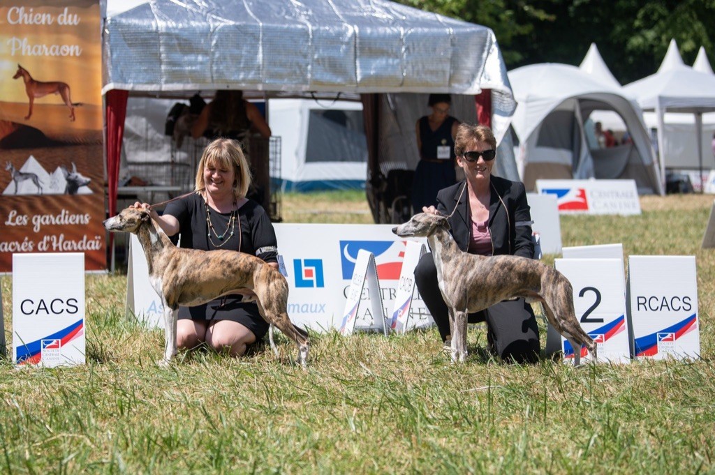 Doublé Gagnant au Championnat de France !