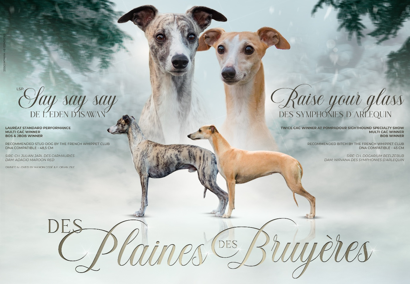 des plaines des Bruyères - Des bébés pour début 2026...